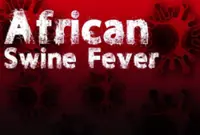 African swine fever confirmed at three Penang pig farms, 50 pig deaths reported