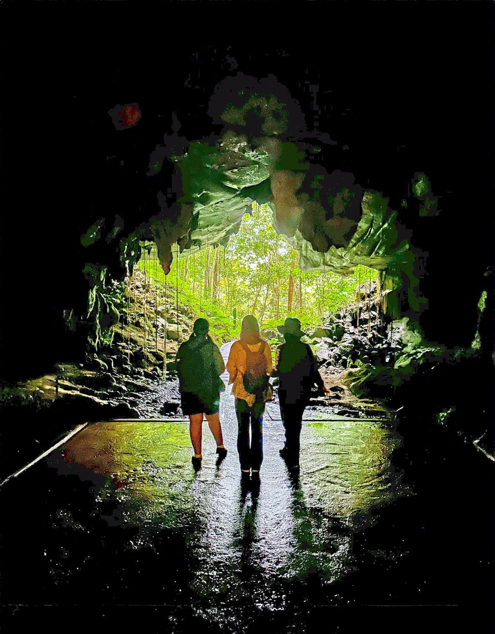 Serumpun Sarawak will be held at the Unesco world heritage-listed Mulu National Park in October. —EDDIE CHUA/The Star