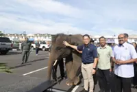 Wildlife Dept begins interstate move of elephants to reduce conflicts with farms, residences