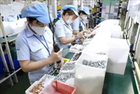Ho Chi Minh City ramps up efforts to attract large foreign investments
