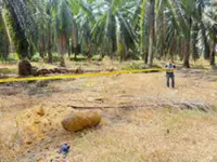 WWII-era bomb weighing over 200kg found near Jasin