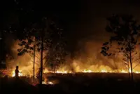 Forest and land fires scorch seven hectares across Sumatra over the weekend, says disaster agency