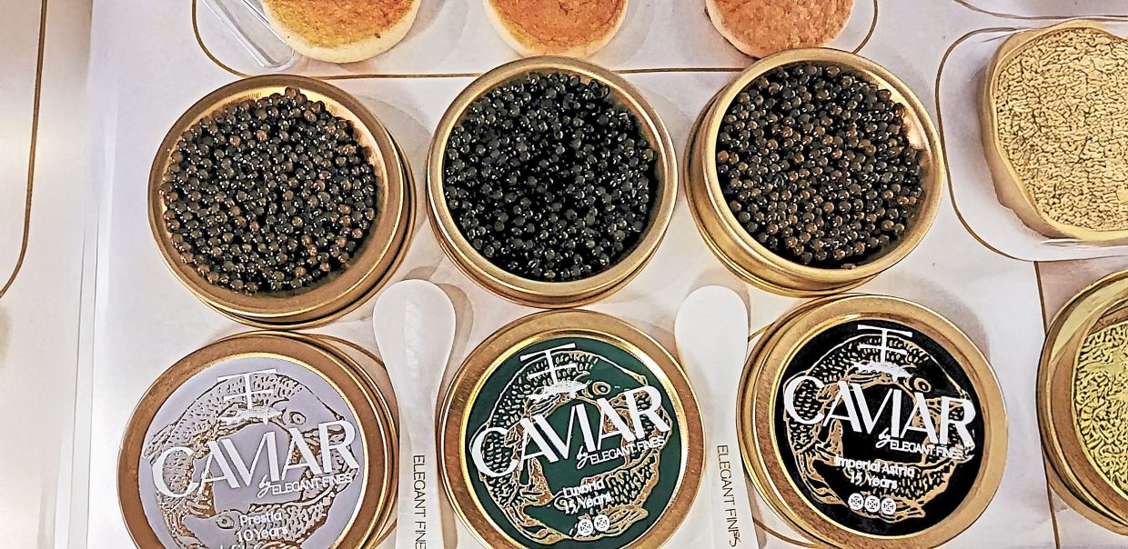 Yan and Tong’s farm now produces three different kinds of caviar for Malaysian consumers to enjoy. — ABIRAMI DURAI/The Star
