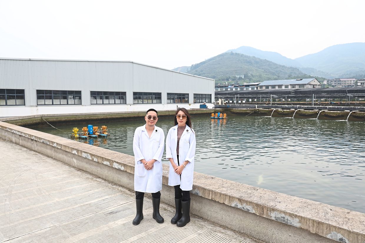 Before partnering with the farm in China, Tong (left) and Yan (right) visited many boutique farms. They now travel to their farm multiple times a year to check on their precious fish. — Elegant Fine
