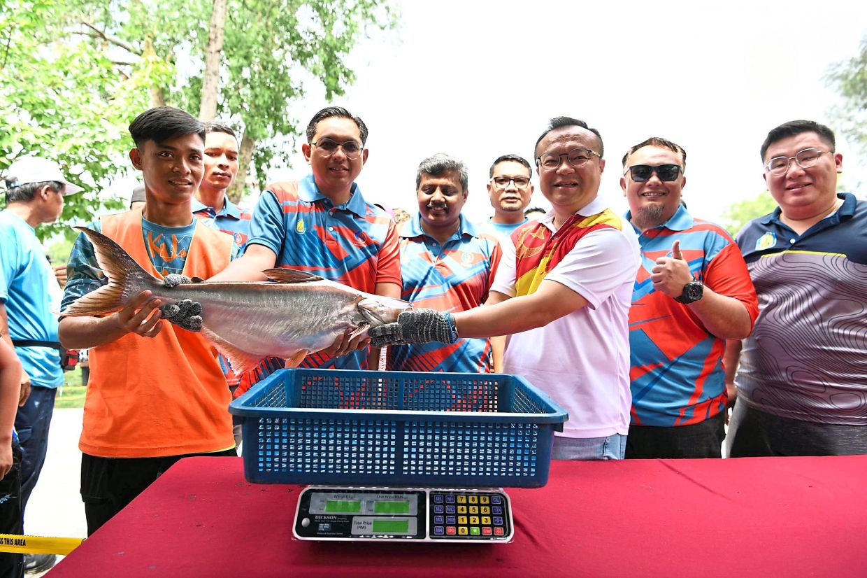 Yew (second from right) and Hasrolnizam holding the heaviest catch of 4.66kg ‘ikan patin’ by Muhammad Abdullah (left). With them are MPAJ council members.