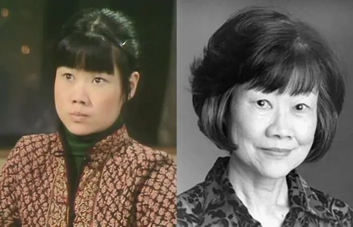 Penangite Pik-Sen Lim, from Mind Your Language fame, was the narrator for the opening sequence of Dark Souls.