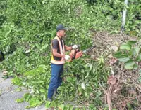 MBJB leads public complaints pilot project