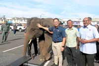Special ops to translocate elephants begins in Johor