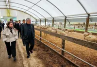 Maori community can be a model for Orang Asli tourism, socio-economic development, says Zahid
