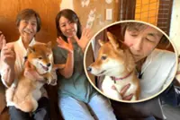 Japan man sells Ferrari to fund shelter for ‘taxing’ dogs, repay pet that saved his life