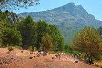 The great dinosaur egg hunt