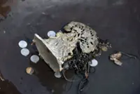 India’s river divers risk health in search for hidden treasures