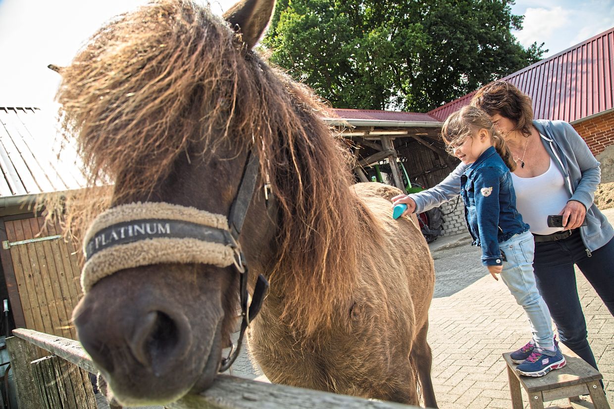 It's not just dogs and cats: Some people get allergic reactions to horses and even birds.