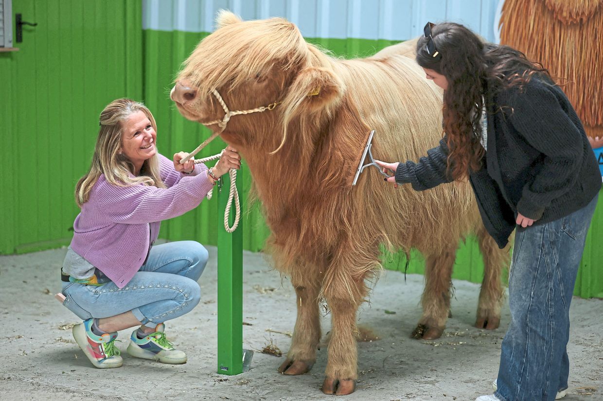 Mother and daughter, Sam and Jess Tinton with a Highland Cow. 