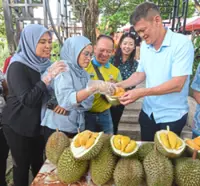 Getting the inside scoop on rare durian at annual treat