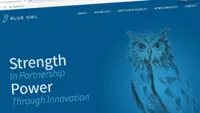 Blue Owl expects continued private credit boom