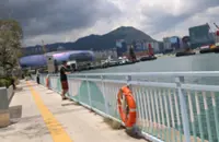 Hong Kong police arrest man on suspicion of pushing boy, 9, into sea