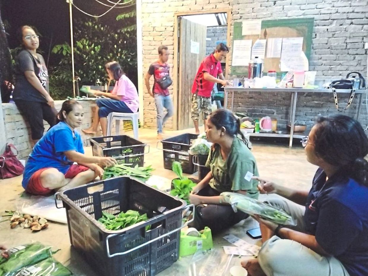 Teamwork is everything, says Maimun (in blue) as she sorts and packs vegetables together with the other farmers.
