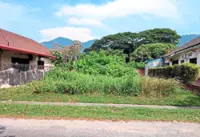 Ipoh residents living in fear next to vacant plots