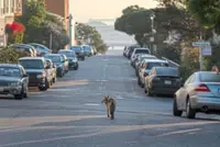The wild on their doorstep