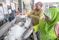 Fisheries sector records 7.1% growth, adds RM11.8bil to 2024 GDP