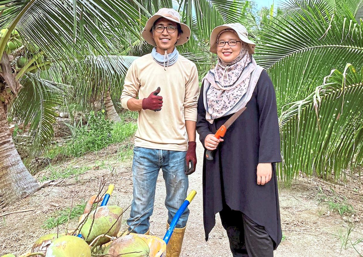 Mohd Fauzi and Amirah with dwarf green coconuts in their Ladang Amirah farm. — Courtesy photos