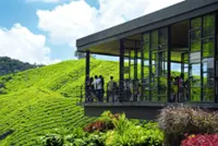 Unlocking opportunities in agricultural land