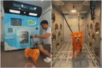 New auto pet wash service in Singapore's Buona Vista draws flak, but firm stands by its safety