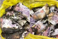 Data centre tender graft: Suspect burned nearly RM1mil in cash during MACC raid