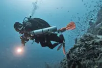 New tourism boom for Brunei as its underwater ecosystem attracts international divers