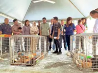 Animal lover finds new best friend at MBJB event