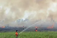 Two regencies in Indonesia's West Sumatra declare Emergency as forest fires spread