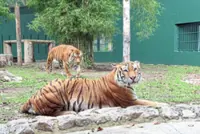 Annual run returns to spotlight coexistence with wildlife