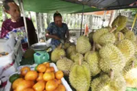 Asean News Headlines at 10pm on Tuesday (July 22, 2025)