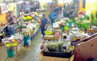 A quiet haven of fresh and affordable flowers