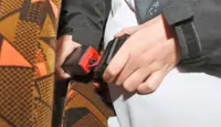 Almost 1,200 summonses issued since July 1 for not wearing seat belts on buses