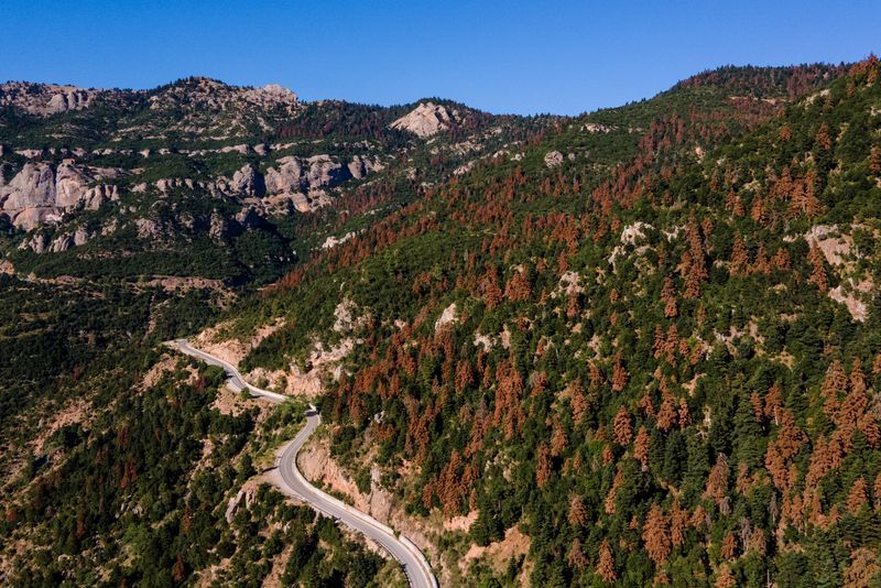 Grški gozdovi v objemu suše in vročine
