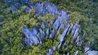 Elderly man seriously hurt in 500m fall at Gunung Api at Mulu National Park