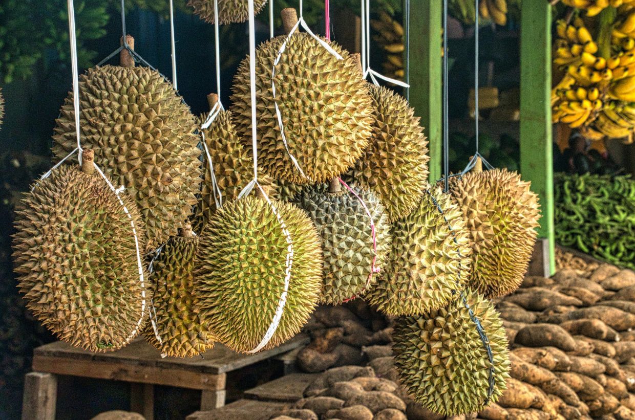 The magic of durian lies not just in its smell but how it reshapes our perception of taste. Photo: TOM FISK/Pexels
