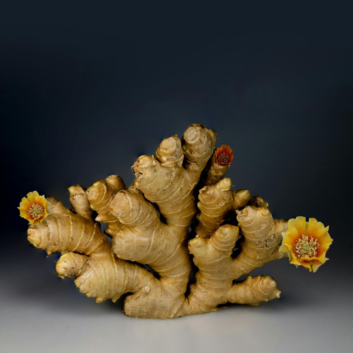 Ginger has strong antimicrobial properties. Photo: JORIS NEYT/Pexels