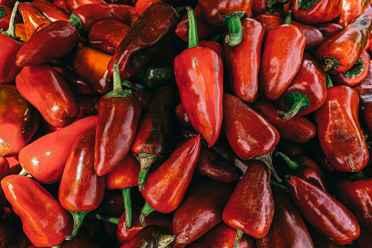 Eating spicy foods frequently is linked to reduced mortality rates from cancer as well as longer life spans. Photo: SHIVAM PATEL/Pexels