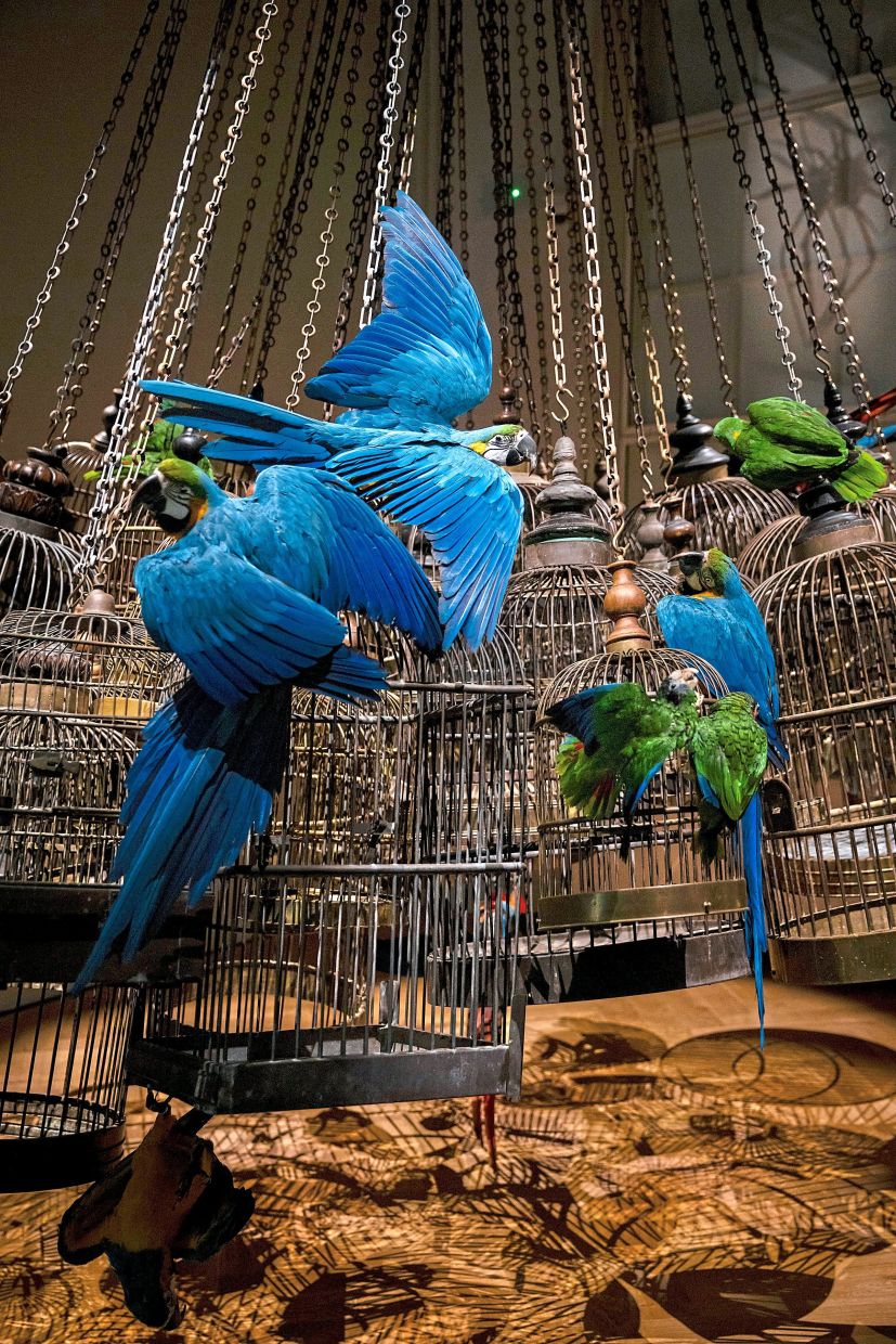 Tropical birds clinging to dozens of antique bird cages in the foyer of the Art Zoo.