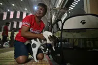 Thai government unveils extensive financial relief for border conflict victims