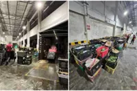 Around three tonnes of illegally imported vegetables from Malaysia seized at Woodlands Checkpoint