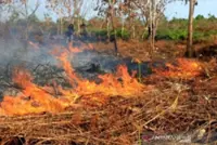 Indonesia battles widespread forest fires across Sumatra and Kalimantan
