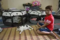 Thai woman escapes with beloved cats while under fire in Cambodia clashes