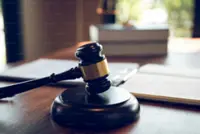 Art museum owner fined RM300,000 for illegally possessing wildlife parts