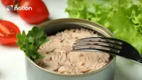 Thai-Cambodia conflict could trigger global tuna pet food shortages
