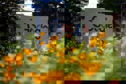 Google ordered to pay Argentine pictured naked in his yard