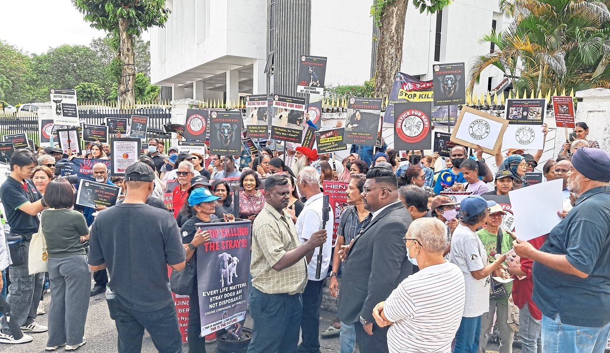 Scene from a recent protest outside Wisma Negri against the proposed culling of stray dogs in Negri Sembilan. — Filepic